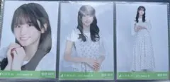乃木坂46 生写真　シャーリングワンピ 菅原咲月 コンプ