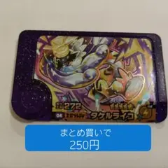 タケルライコ　ポケモンフレンダ　スーパートレジャー