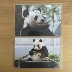 Item thumbnail for item 48408679-0e89-4ba0-8d6f-7a7edc5fe45e