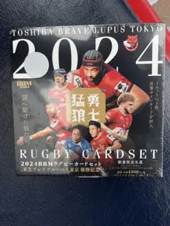 2025年最新】東芝ブレイブルーパス東京の人気アイテム - メルカリ