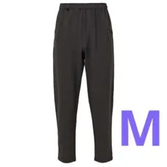 Item thumbnail for item 78303012-a3b1-4ec3-82cc-46f9ddeea7a4