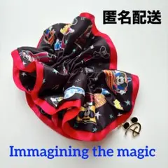 ミッキー✴︎シュシュ