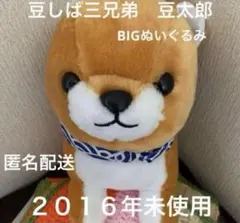 Item thumbnail for item 04048154-c54c-4348-b52c-b25b0bd5bbd4