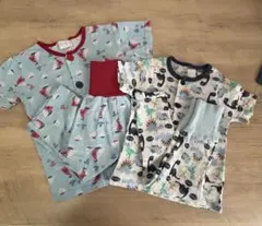 Item thumbnail for item 3720b2f0-1469-4270-950a-80773b15053a