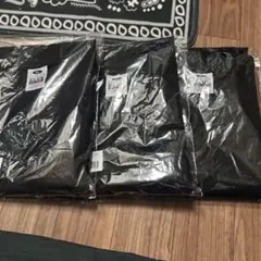 Item thumbnail for item ae11db75-2cad-4dd3-97b7-ed63c7cc7041