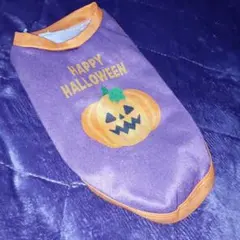 ハロウィン犬服 カボチャデザイン