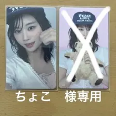 ちょこ　様専用ページ