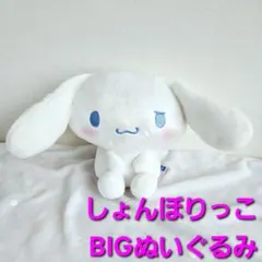 シナモロール　サンリオキャラクターズ　しょんぼりっこBIGぬいぐるみ　2