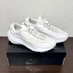 【超美品】Nike ACG Mountain Fly 2 Low x CDG