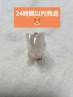 StrayKids スキズ SKZOO グミ＆チャーム フォクシニー