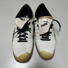 Item thumbnail for item 14a416f0-51e9-46e8-ace8-508c229977ec