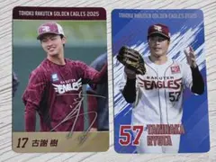 Item thumbnail for item ec838859-fd83-4447-b197-40dec35473b8