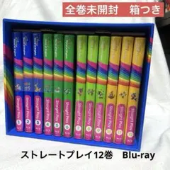全巻未開封　ディズニー英語システム DWE ストレートプレイ12巻　ブルーレイ