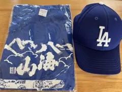 八海山ドジャース