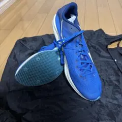 mizuno クロノインクスネオジャパン 27.0 限定バッグ付き - メルカリ
