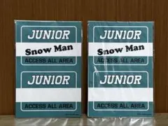 SnowMan ジャニーズJr.チャンネル　ACCESSALLAREA ステッカ