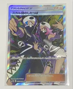 2026年最新】スカル団のしたっぱ SR コレクションムーンの人気アイテム