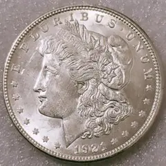 アメリカ 銀貨 1884-O モルガン シルバーダラー 未鑑定 トーンコイン 