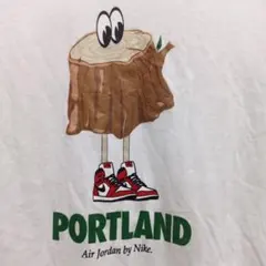 新品未使用 AJ1 ジョーダン1 Tシャツ AIR JORDAN ブルズ ナイキ