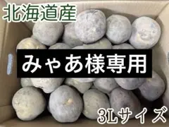 【みゃあ様専用】北海道産じゃがいも（きたかむい）　3Lサイズ10kg