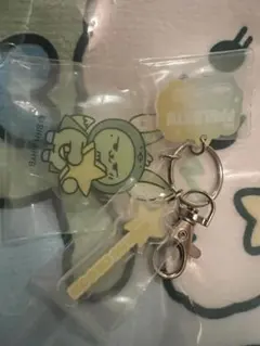 TXT PPULBATU　アクリルキーホルダー　HWANG CHOON