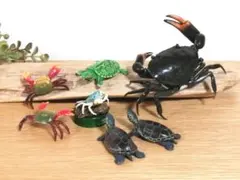 カニとカメ フィギュアセット