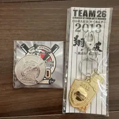 千葉ロッテマリーンズ