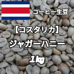 【コスタリカ】ジャガーハニー④　コーヒー生豆 １kgのサムネイル