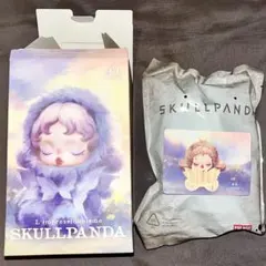 【新品・シリアルナンバー確認済】 SKULLPANDA Teak wood