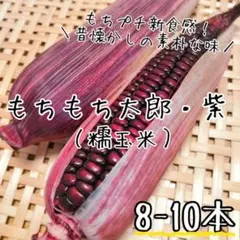 【専用ページ】糯玉米/もちもち太郎/もちトウモロコシ/徳島県産/8〜10本入