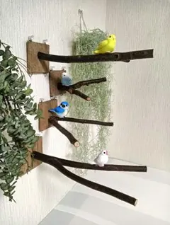 現物１点　壁掛　バードジム　✨　カスタム　パンチングボード　流木　アスレチック 海からの贈り物〜 流木バードジム L ｜鳥さんのアスレチック
