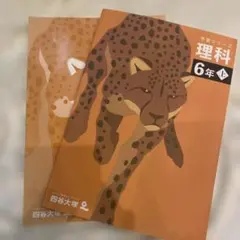 Item thumbnail for item cabcfd6d-9308-4a8f-8b38-15c970402110