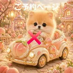 激レアポメラニアン、パグ、柴犬、シーズ、マルチーズ、チワワパネル