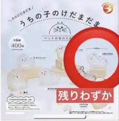 うちの子のけだまだま　犬のけだまだま　三角たれみみ