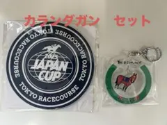 2026年最新】ウェルカムチャンス ジャパンカップの人気アイテム - メルカリ
