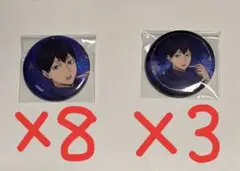 ハイキュー!!×よこはまコスモワールド 影山飛雄 缶バッジ11点
