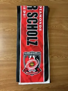 浦和レッズ アレクサンダー・シュルツ タオルマフラー 28