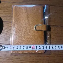 Item thumbnail for item bd0224eb-3a28-4a3a-b81a-7dc05ee11849