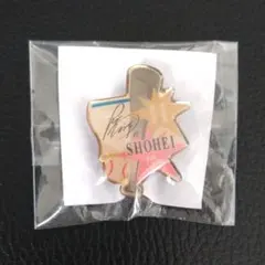 2013 大谷翔平 ルーキー ピンバッジ 日本ハムファイターズ ホーム