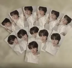 TWS playhard シニュ 封入 トレカ まとめ売り