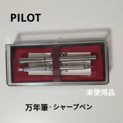 PILOT 万年筆　ビンテージ物 2026年最新】パイロット 万年筆ヴィンテージの人気アイテム - メルカリ