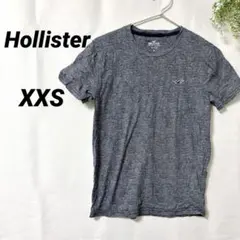 美品Hollister 【XXS】100%コットン 半袖Tシャツ ダークブルー