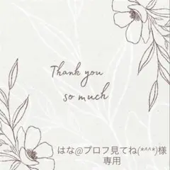 はな@プロフ見てね(*^^*)様 リクエスト 4点 まとめ商品