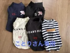 BEAMS・アーノルドパーマー 犬服 XS Sサイズ 5点セットのサムネイル
