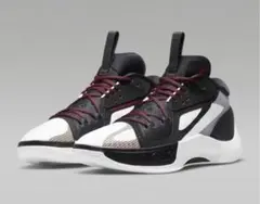 Nike Jordan zoom separate pf