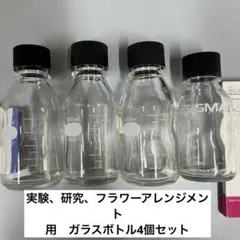 イワキ IWAKI シグマ SIGNA 実験 蓋付き ボトル 花瓶 インテリア