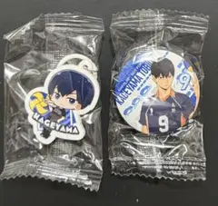 くら寿司 ハイキュー 影山飛雄 めじるしチャーム 缶バッジ