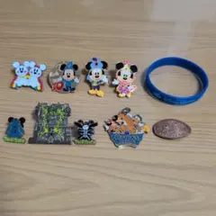 ディズニー ピンバッジ、ポストカード、コイン、キーホルダー
