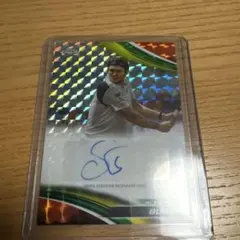 TOPPS CHROME TENNIS アレクサンダー・ブブリク　25シリ