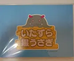 Item thumbnail for item 1cb19482-ecd9-462d-b761-5ba03773a166